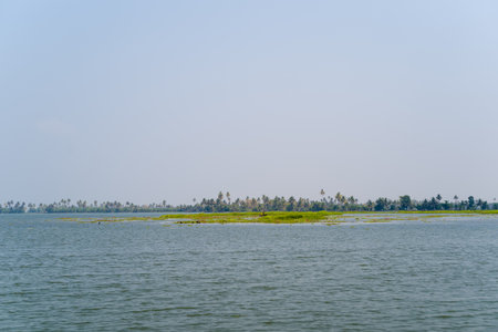 Expansive water stretches toward a low, distant shoreline lined with palm trees and greenery in Alappuzha, Kerala. The soft daylight and hazy sky create a peaceful, open atmosphere.の写真素材