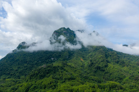 White mist drapes across dense, forested mountains in northern Laos, with vibrant green slopes rising beneath a wide, cloud-filled sky. The scene highlights the natural textures and tranquil atmosphere of the tropical landscape.の写真素材