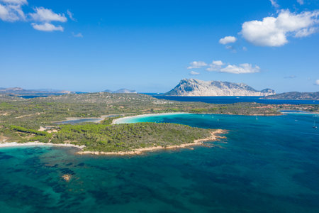 Aerial panorama of Cala Brandinchi beach in Sardinia, featuring a vibrant turquoise lagoon, lush coastal vegetation, and a dramatic mountain island rising in the distance under a clear blue sky.の写真素材