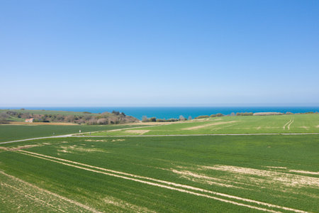 Sweeping view of lush green farmland stretching toward the vivid blue sea under a clear sky near Longues-sur-Mer, Normandy. The open landscape and bright sunlight evoke a sense of calm and spaciousness.の写真素材