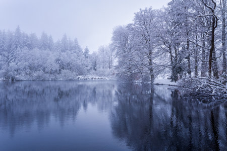 A tranquil winter lake at Lac du Haut Folin mirrors snow-covered trees and frosted evergreens along the shoreline. Soft mist and cool blue tones create a peaceful, atmospheric landscape.の写真素材