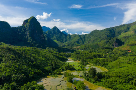 Aerial view of flooded rice paddies set within a green valley surrounded by steep limestone mountains and dense tropical forest in northern Laos. Bright daylight and blue sky highlight the layered fields and dramatic landscape.の写真素材