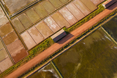 Drone perspective reveals a grid of salt evaporation ponds divided by earthen embankments, with a single rustic warehouse and red dirt road cutting through the Marais salants de Kampot, Cambodia. Warm sunlight highlights geometric patterns and earthy textures in this rural coastal landscape.の写真素材