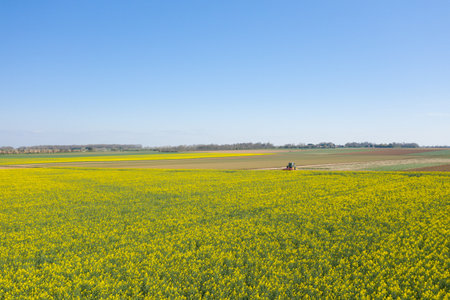 A green tractor moves across a vast yellow rapeseed field in the Normandy countryside under a clear blue sky, with layered farmland stretching to the horizon.の写真素材