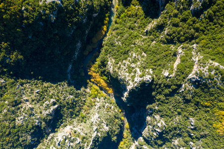 Top-down aerial image shows a narrow river meandering between steep, forested limestone cliffs in Vikos Gorge, part of Vikos-Aoos National Park in Epirus, Greece. Sunlight highlights the dense green canopy and autumn foliage along the canyon floor, creating a striking natural pattern.の写真素材