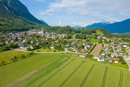 Aerial view of Gresy sur Isere showing a patchwork of cultivated fields, residential houses, and lush greenery at the foot of forested mountains under a bright summer sky.の写真素材