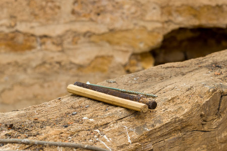 A close-up of a metal screw and a wooden dowel resting on a weathered timber beam, with textured...