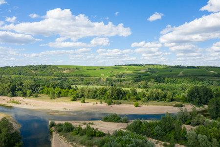 Expansive vineyards and dense forest rise above a sandy riverbank along the Loire, all beneath a...