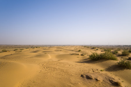 Wide golden sand plain dotted with low green shrubs stretches beneath a vast blue sky in the Thar Desert near Jaisalmer, India. Subtle tire marks and gentle light evoke a sense of openness and calm.の写真素材