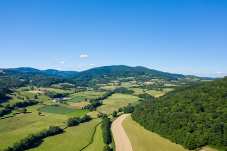 Wide aerial view of patchwork fields, winding hedgerows, and dense forest covering rolling hills in...