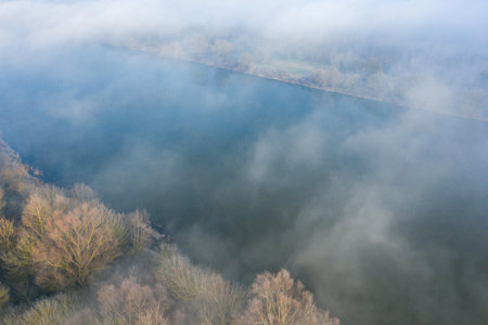 Aerial view of a tranquil river bend shrouded in morning fog, with bare winter trees lining the banks and soft diffused light creating a serene, atmospheric landscape.の写真素材