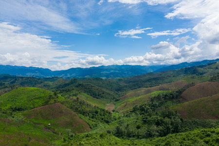 Sweeping view of rolling green hills and forested slopes stretching toward distant blue mountain...