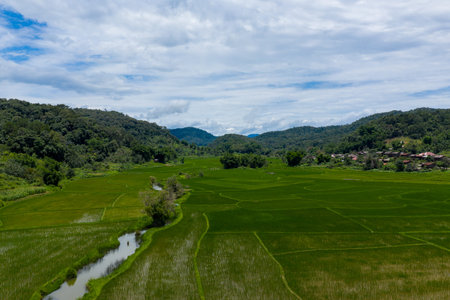 Expansive green rice fields stretch across a rural valley bordered by forested hills and scattered...