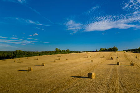 Round hay bales are evenly distributed across a sunlit, harvested hillside field under a vivid blue...