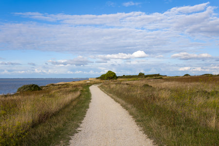 A winding gravel path leads through grassy coastal meadows beside the Atlantic, bordered by wild...