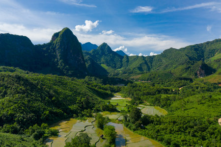 Flooded rice terraces unfold at the base of steep limestone mountains surrounded by dense green...