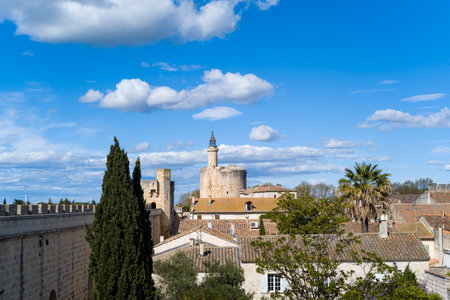 Circular stone tower and fortified ramparts overlook terracotta rooftops, cypress and palm trees, all beneath a vivid blue sky with scattered clouds in Aigues-Mortes.の写真素材