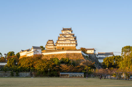 Himeji, Japan - October 31, 2023: Himeji Castle is seen in the background with its white main keep and stone walls, surrounded by trees with autumn foliage, as several people walk and stand in the open grassy area of Sannomaru Square under a clear sky.のeditorial素材