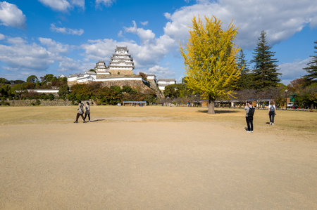 Himeji, Japan - October 31, 2023: Several people are walking and standing in Sannomaru Square with a large ginkgo tree displaying yellow autumn leaves and Himeji Castle visible in the background under a partly cloudy sky.のeditorial素材