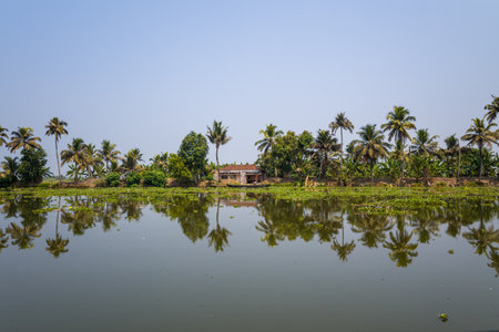 Alappuzha, India - March 9, 2023: A single house with a tiled roof is visible on the bank of the backwaters, surrounded by palm trees, banana plants, and aquatic vegetation, with clear reflections on the water under a blue sky.のeditorial素材