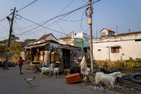 Fort Kochi, India - March 16, 2023: A small street shop with various goods is shown in central Fort...