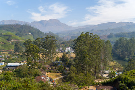 Munnar, India - March 10, 2023: Tea plantation-covered hills with tall trees, scattered village...