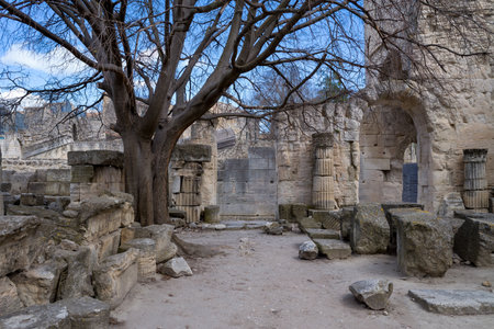 Arles, France - April 1, 2023: Ancient stone ruins, partially standing Roman columns, a large leafless tree, and an arched stone doorway are visible at the Ancient Theatre of Arles under a blue sky.のeditorial素材
