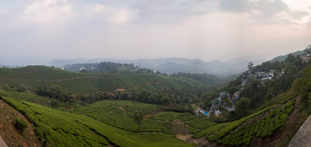 Munnar, India - March 11, 2023: A wide panoramic view shows extensive tea plantations covering...