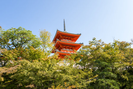 Kyoto, Japan - October 16, 2023: The vividly painted Sanjunoto Three Story Pagoda at Kiyomizu-dera temple rises above surrounding green foliage under a clear blue sky.のeditorial素材