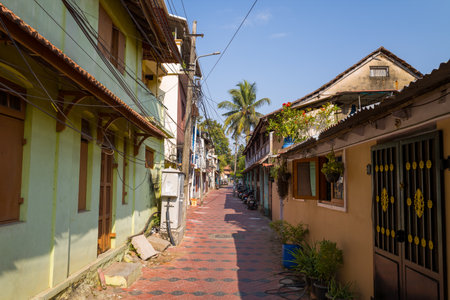 Trivandrum, India - February 28, 2023: A narrow alley lined with colorful residential houses, potted plants, and overhead utility wires, with a tiled walkway and a palm tree visible in the background under a clear sky.のeditorial素材