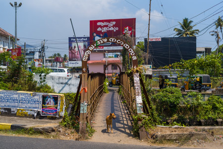 Alappuzha, India - March 7, 2023: A pedestrian bridge with an arched sign in Malayalam spans a canal, with a dog standing at the entrance, surrounded by posters, billboards, auto rickshaws, and urban infrastructure.のeditorial素材