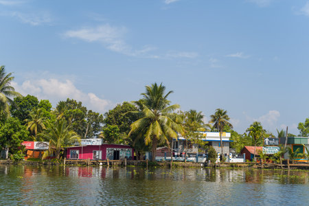 Alappuzha, India - March 6, 2023: Several riverside buildings with visible commercial signs, including Coca-Cola and massage advertisements, are seen along the backwaters with palm trees and a clear sky in the background.のeditorial素材