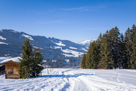 Unknown location - January 29, 2023: A snow-covered trail passes by small wooden cabins and pine trees in a rural mountainous landscape under a clear blue sky.のeditorial素材