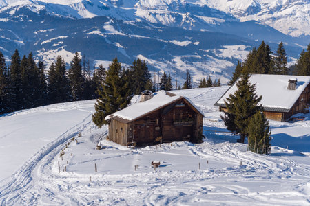 Chalets du Le Leutellet, France - January 29, 2023: Two wooden chalets are situated on a snow-covered hillside surrounded by pine trees, with mountain ranges visible in the background under a clear blue sky.のeditorial素材