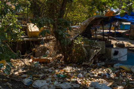 Kochi, India - February 27, 2023: Litter, plastic waste, and debris are scattered on the ground beneath trees and near makeshift shelters, with sunlight filtering through the foliage and various objects visible in the background.のeditorial素材