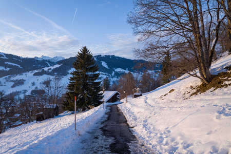 Megeve, France - January 30, 2023: A snow-covered path lined with bare trees and a large evergreen descends towards a small building, with snow-covered mountains and scattered houses visible in the background under a partly cloudy sky.のeditorial素材