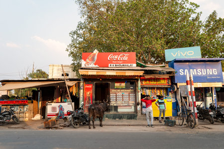Agra, India - March 14, 2024: R.K. Bhojanalay restaurant, J.K. Cold Drinks shop, and adjacent mobile phone stores with Coca-Cola, Vivo, and Samsung signage are visible on a street, with a cow standing in front, motorcycles parked, and two men standing outのeditorial素材