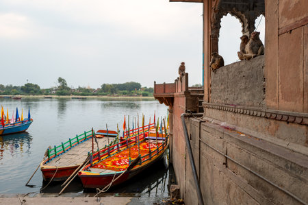 Mathura, India - March 13, 2024: Several monkeys are sitting on the ledge and parapet of a historic riverside structure overlooking decorated wooden boats with colorful canopies and orange flags docked at Ghat Vasudev on the Yamuna River.のeditorial素材
