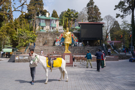 Darjeeling, India - March 26, 2024: A man stands with a saddled white horse in front of a golden statue at Mall Square, with people walking, steps, a large screen, and surrounding trees and buildings visible.のeditorial素材