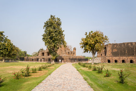Delhi, India - March 29, 2024: The image shows a stone pathway flanked by landscaped lawns and rose bushes leading to the weathered stone ruins and arched structures of Feroz Shah Kotla Fort, with several large trees and no people visible under a clear skのeditorial素材