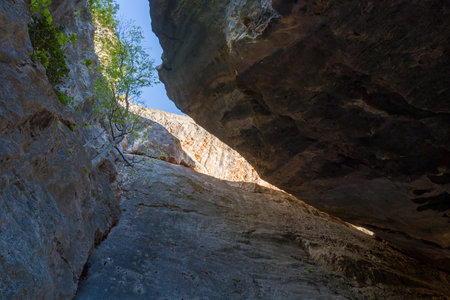 Alquezar, Spain - May 6, 2024: Upward view of steep limestone cliffs and large rock overhangs with a small tree growing from the rock face and blue sky visible above.のeditorial素材