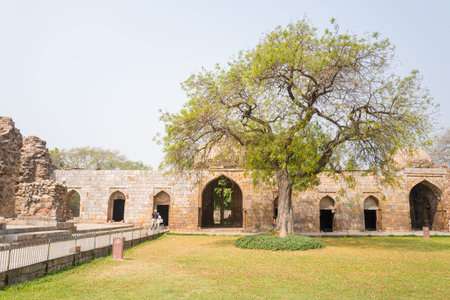 Delhi, India - March 30, 2024: The image shows the exterior of an ancient stone building with multiple arched entrances and a large tree in the foreground at the Qutub Minar complex, with visitors walking nearby and grassy lawn visible.のeditorial素材