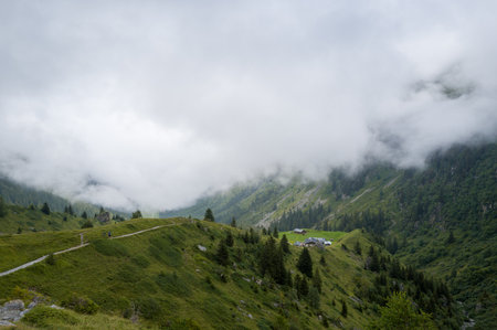 Chalets de Balme, France - August 25, 2024: Several chalets with metal roofs are situated on a grassy slope in an alpine valley, with a gravel path winding through the landscape and low clouds partially obscuring the surrounding forested mountains.のeditorial素材