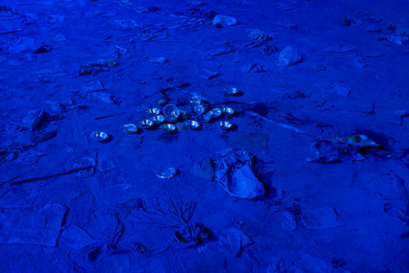 Pushkar, India - March 18, 2022: A group of metal bowls is seen on the ground amid scattered trash and debris on a market street at night, illuminated by blue lighting.のeditorial素材