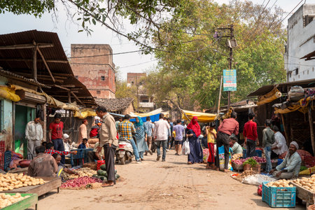 Prayagraj, India - March 21, 2024: The image shows people shopping and vendors selling vegetables at an outdoor street market, with stalls on both sides, baskets of produce, utility wires, and buildings visible during daylight.のeditorial素材