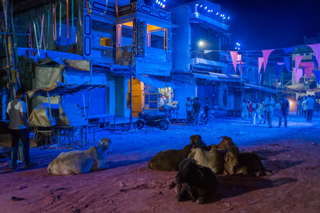 Pushkar, India - March 18, 2022: Cows are seen lying on the ground in the foreground of a market...