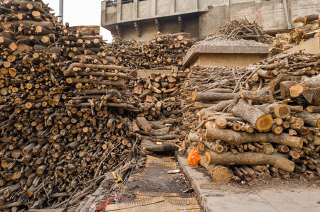 Varanasi, India - March 18, 2024: Large piles of cut firewood are stacked along a narrow alley near concrete buildings at Manikarnika Ghat, with some debris and an orange cloth visible on the ground.のeditorial素材