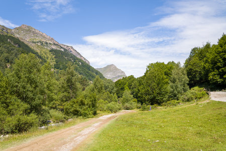 Chemin de randonnee du Cirque de Gavarnie, France - August 9, 2022: A dirt hiking trail runs through a grassy valley bordered by dense green forest and mountain slopes under a partly cloudy sky.のeditorial素材