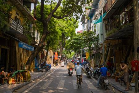 Hanoi, Vietnam - September 15, 2022: A narrow street in Hanoi is lined with bamboo shops and shaded by large trees, with people riding bicycles and motorbikes, and several individuals sitting or working outside the storefronts.のeditorial素材