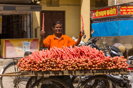 Udaipur, India - March 23, 2022: A man in an orange shirt stands behind a handcart filled with red carrots, holding two carrots upright, with motorcycles and Hindi signage visible in the background.のeditorial素材